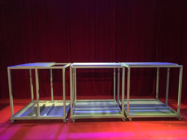 stage_illusion_appearance_tissue_replacement