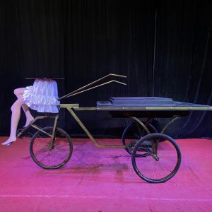 amazing stage show half body riding illusion tricks for sale